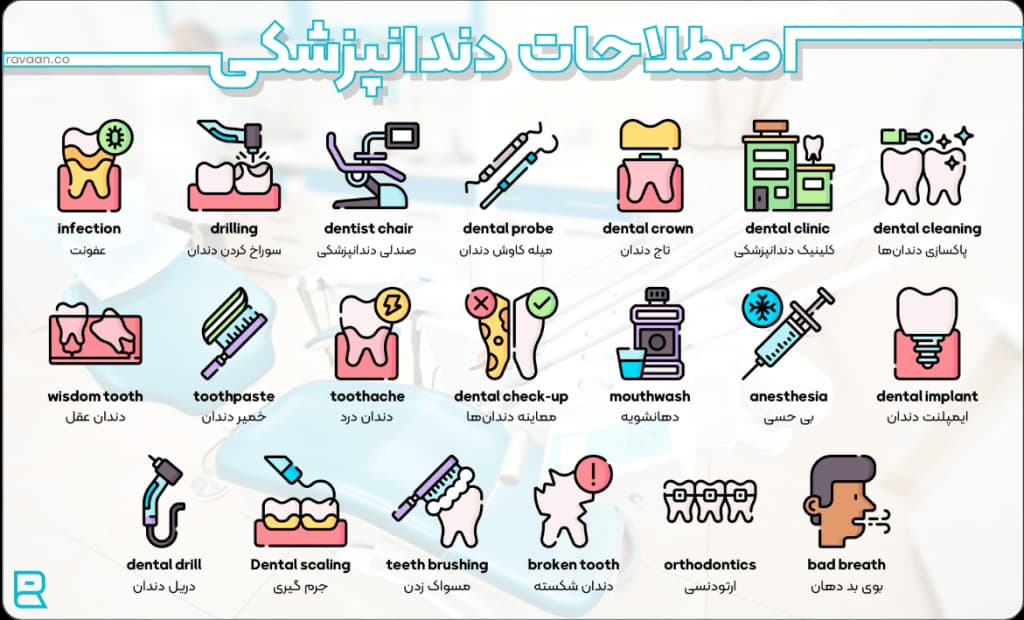 اصطلاحات دندانپزشکی