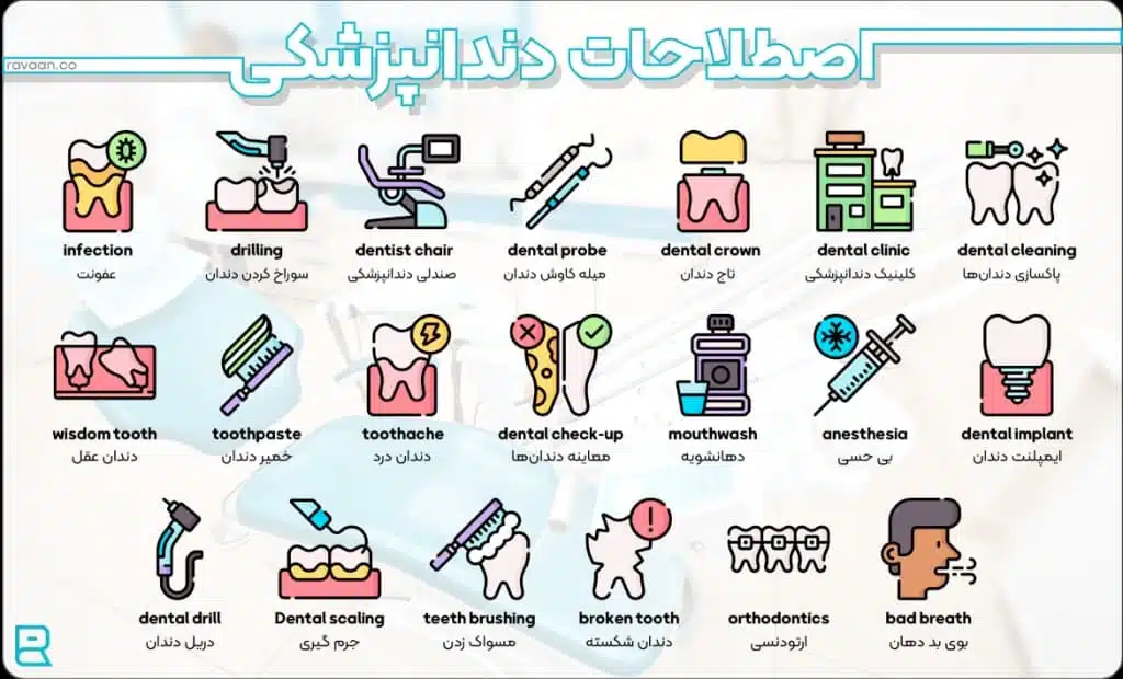 اصطلاحات-دندان-پزشکی